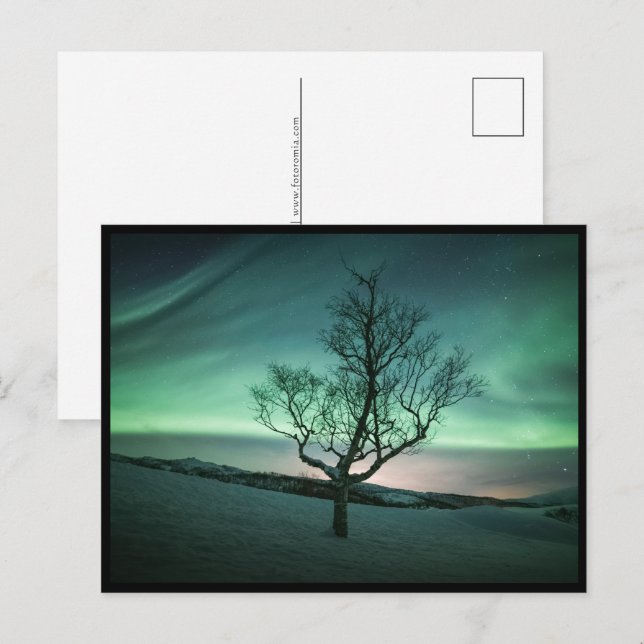 Northern Lights Tree Postcard (Front/Back)