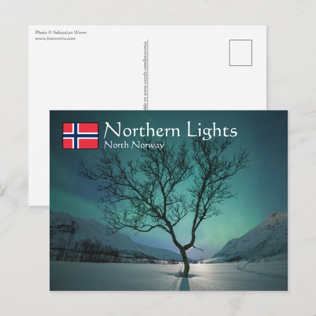Northern Lights Tree Postcard (Front/Back)