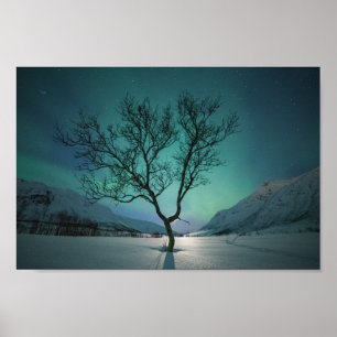 Northern Lights Tree Poster