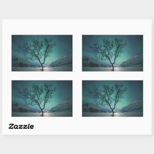 Northern Lights Tree Rectangular Sticker