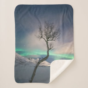 Northern Lights Tree Sherpa Blanket