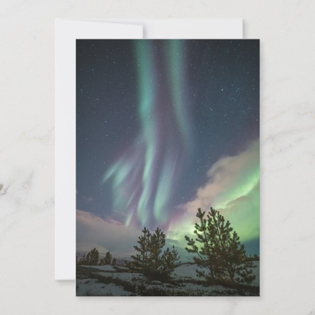 Northern Lights Trees Card (Front)