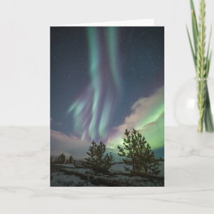 Northern Lights Trees Card
