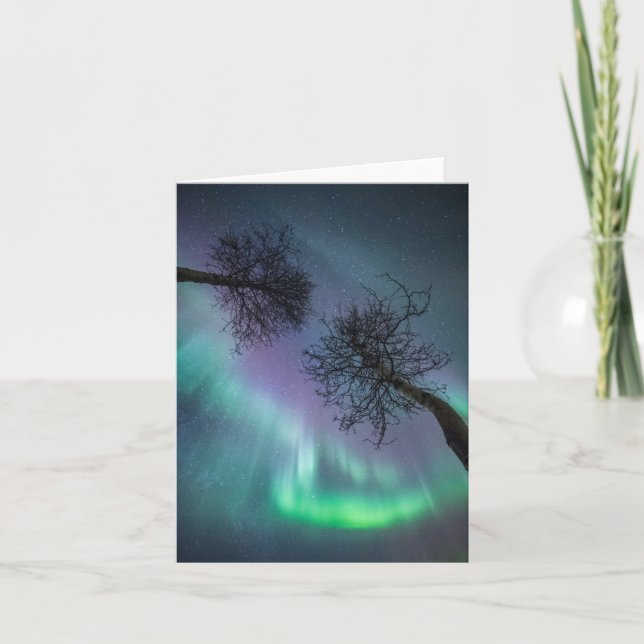 Northern Lights Trees Card (Front)