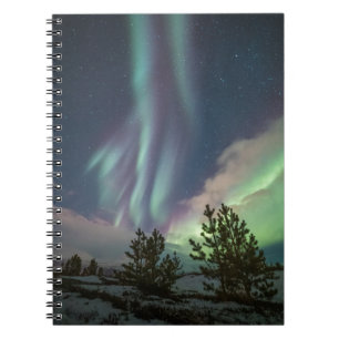 Northern Lights Trees Notebook