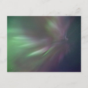 Northern Lights Whitehorse, Yukon Postcard