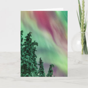 Northern Lights   Winter in Glennallen, Alaska Card
