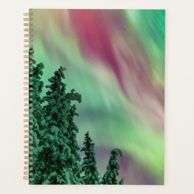 Northern Lights | Winter in Glennallen, Alaska Planner (Front)