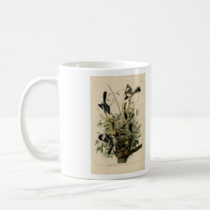 Northern Mocking Bird, Audubon's Birds of America Coffee Mug