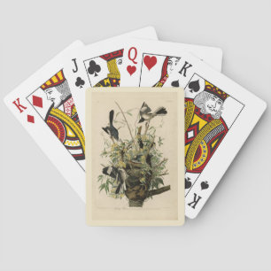 Northern Mocking Bird, Audubon's Birds of America Playing Cards