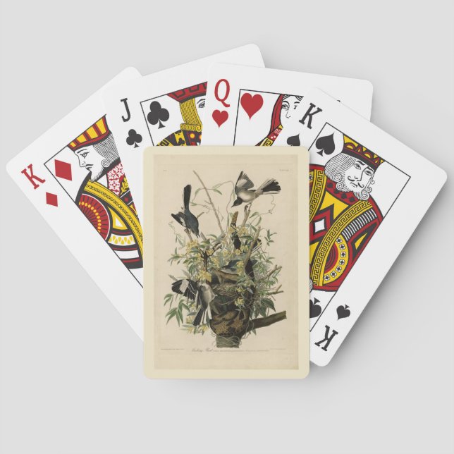 Northern Mocking Bird, Audubon's Birds of America Playing Cards (Back)