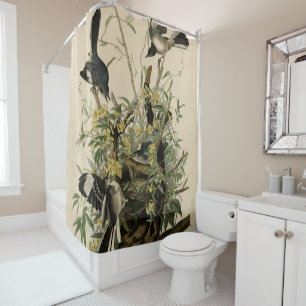 Northern Mocking Bird, Audubon's Birds of America Shower Curtain