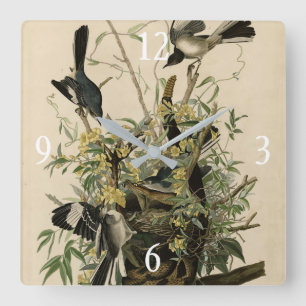 Northern Mocking Bird, Audubon's Birds of America Square Wall Clock
