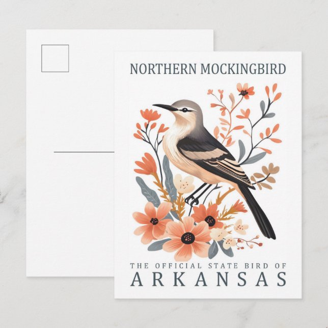 Northern Mockingbird Bird of Arkansas USA Travel Postcard (Front/Back)