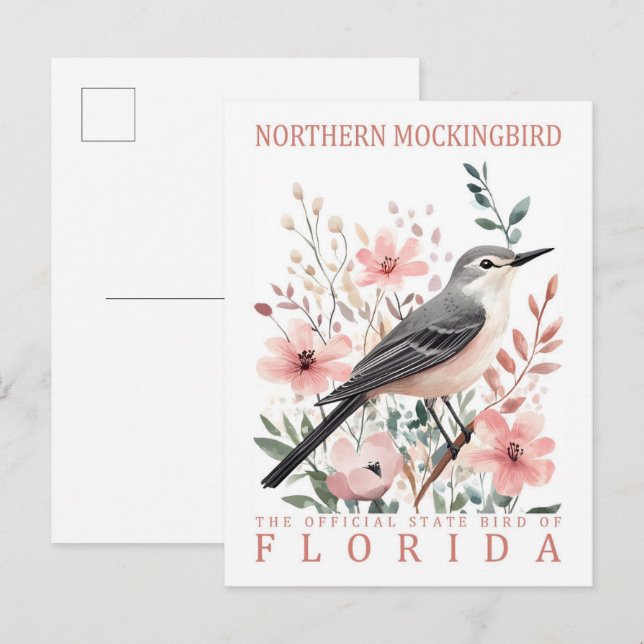 Northern Mockingbird Bird of Florida USA Travel Postcard (Front/Back)
