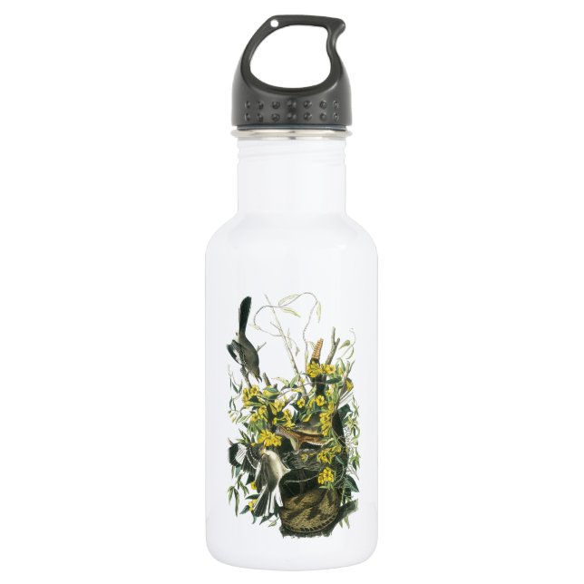 Northern Mockingbird by Audubon 532 Ml Water Bottle (Front)