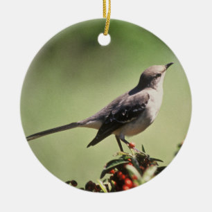Northern mockingbird ceramic tree decoration