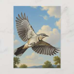 Northern Mockingbird in flight Postcard