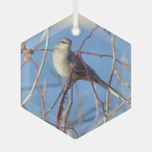 Northern Mockingbird Photo Ornament