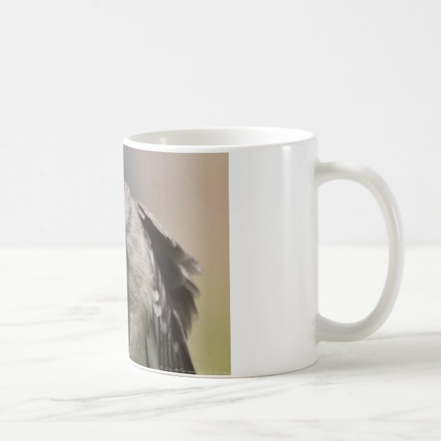 Northern Mockingbird takes a Bow Apparel & Gifts Coffee Mug (Right)