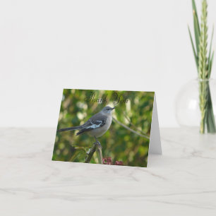 Northern Mockingbird with Flowers Safety Harbour F Thank You Card
