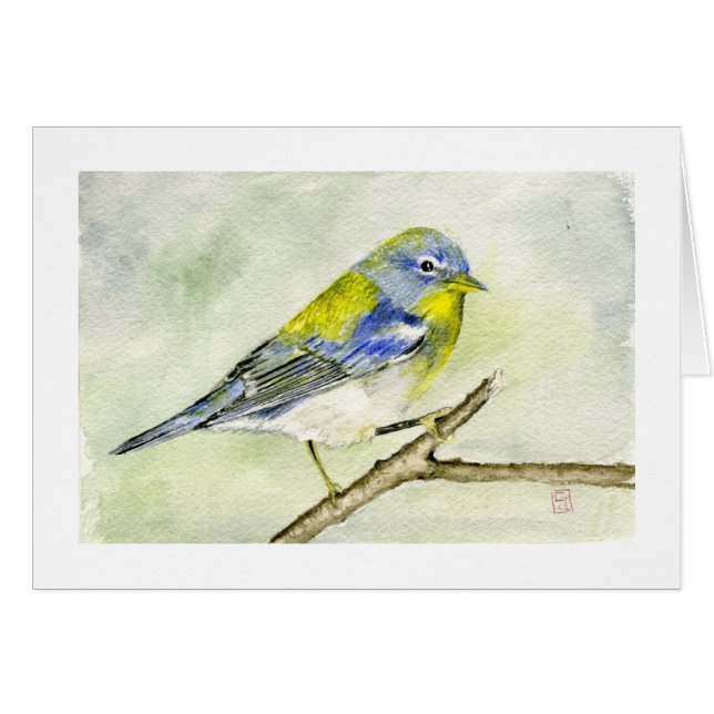 Northern Parula (Front Horizontal)