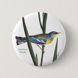 Northern Parula, Audubon, Birder Birdwatcher, Bird 6 Cm Round Badge