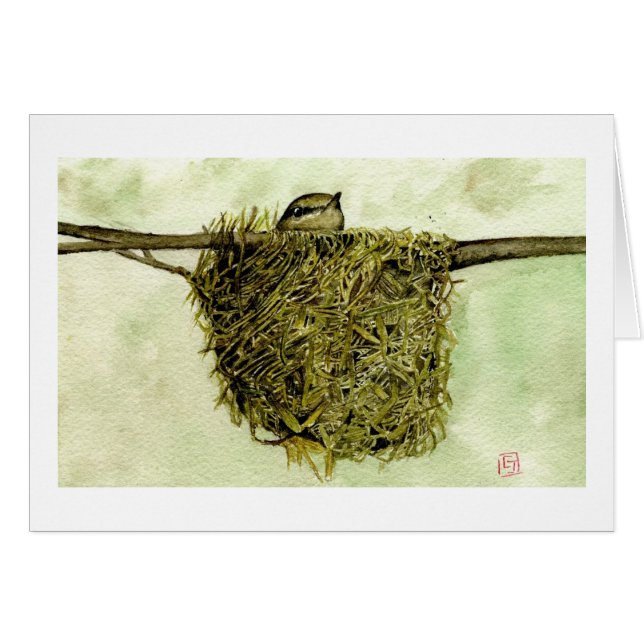 Northern Parula Nest (Front Horizontal)