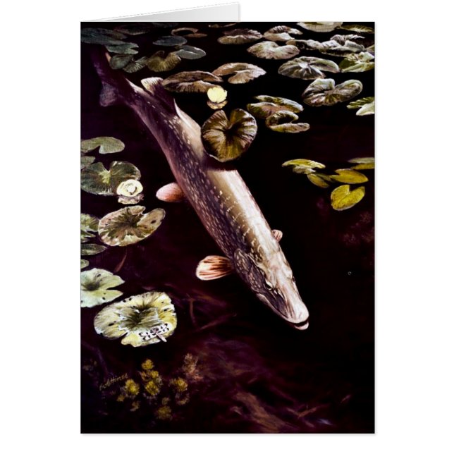 Northern Pike (Front)