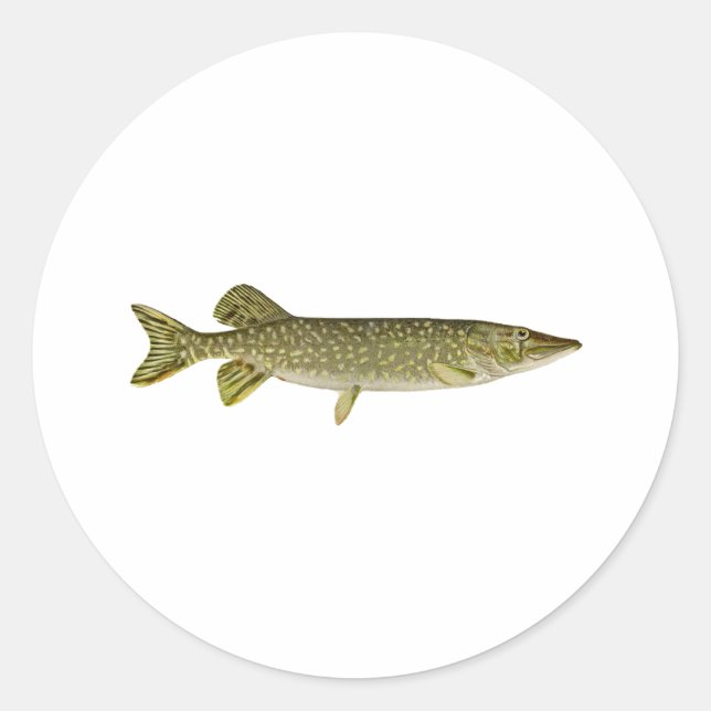 Northern Pike Art Classic Round Sticker (Front)
