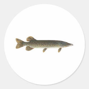Northern Pike Classic Round Sticker