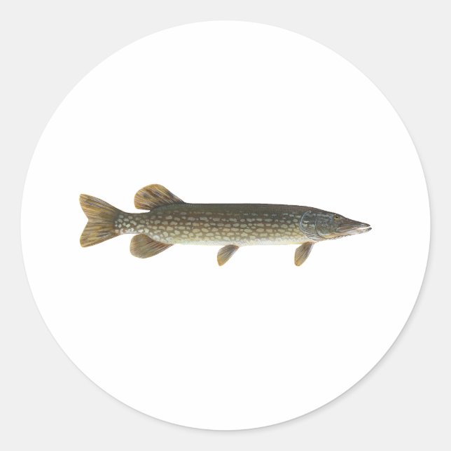 Northern Pike Classic Round Sticker (Front)