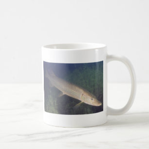 northern pike coffee mug