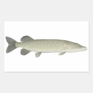 Northern Pike Rectangular Sticker