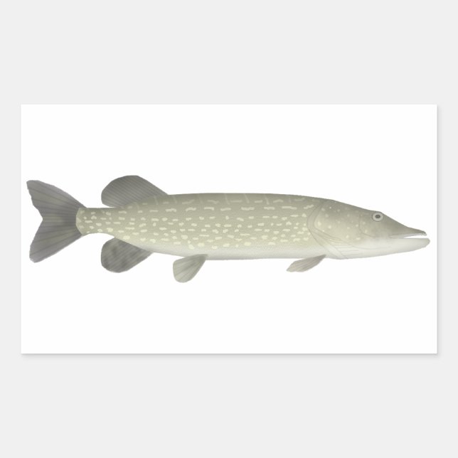 Northern Pike Rectangular Sticker (Front)
