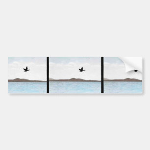 Northern Pintail Bumper Sticker
