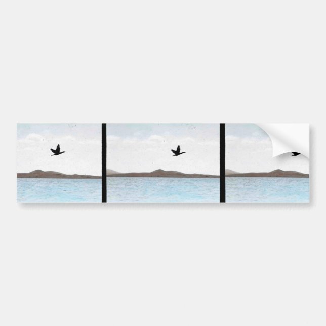 Northern Pintail Bumper Sticker (Front)