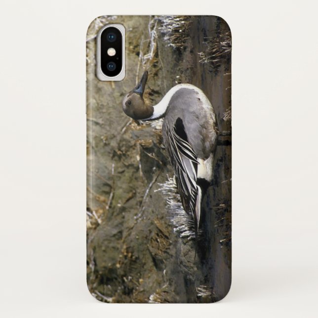 Northern Pintail Duck Lovers Case-Mate iPhone Case (Back)
