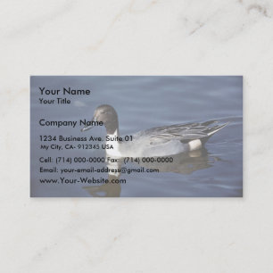Northern Pintail Duck Male Business Card