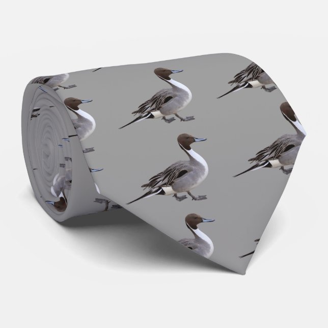 Northern Pintail Tie (Rolled)