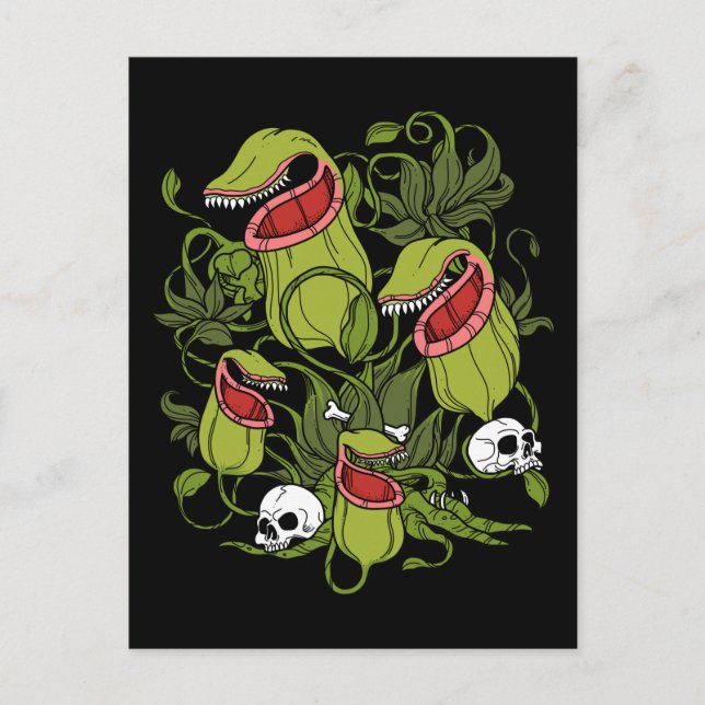Northern Pitcher Sarracenia Carnivorous Plants Postcard (Front)
