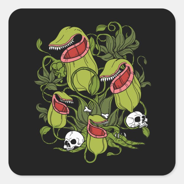 Northern Pitcher Sarracenia Carnivorous Plants Square Sticker (Front)