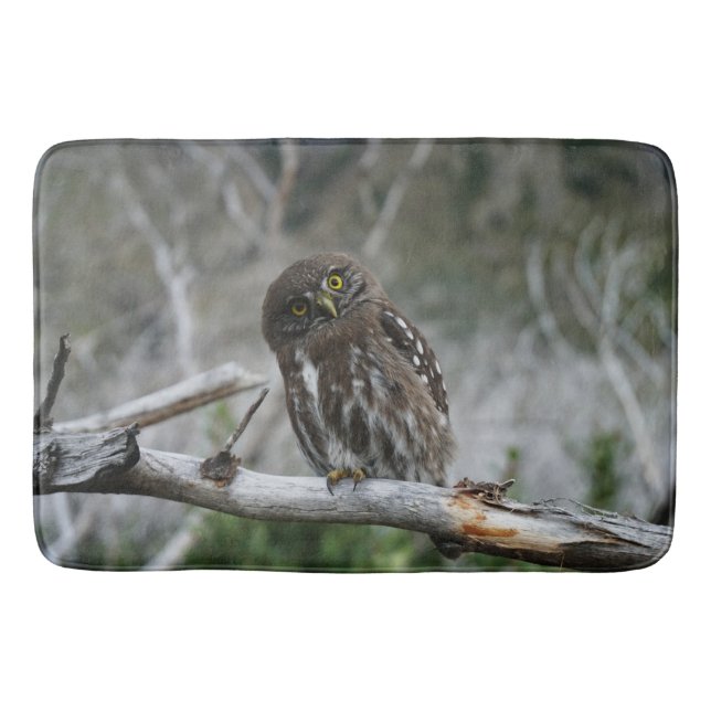 Northern Pygmy Owl Bath Mat (Front)