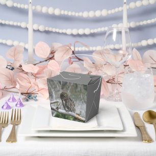 Northern Pygmy Owl Favour Box