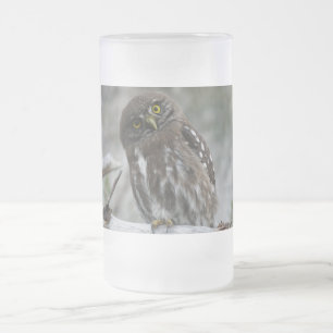 Northern Pygmy Owl Frosted Glass Beer Mug
