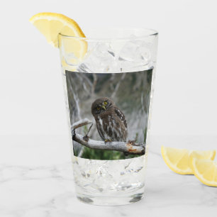 Northern Pygmy Owl Glass