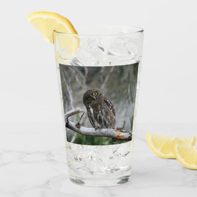 Northern Pygmy Owl Glass (Front Ice)
