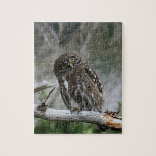Northern Pygmy Owl Jigsaw Puzzle
