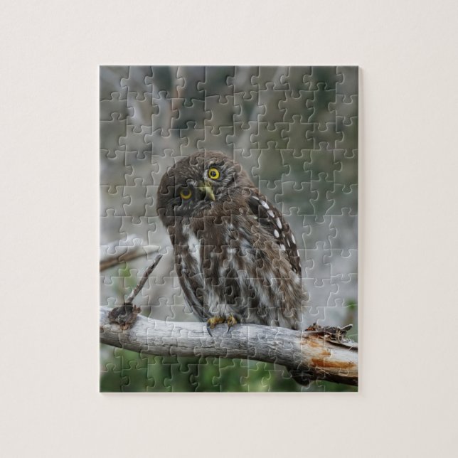 Northern Pygmy Owl Jigsaw Puzzle (Vertical)