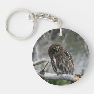 Northern Pygmy Owl Key Ring